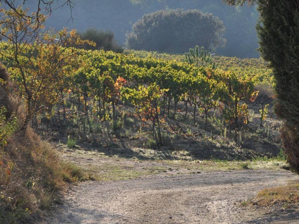 Domaine Saint Victor La Tour-dʼAigues Exterior foto